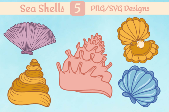 Shell Magic Set Review